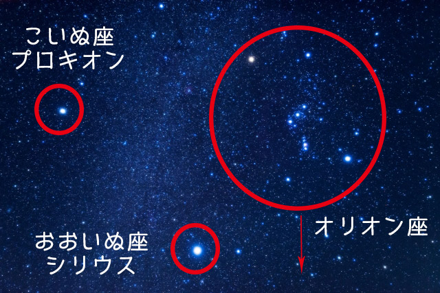 Columba Fertility はと座 Compendium Of Constellations日本語の解釈 24 90 One Little Voice
