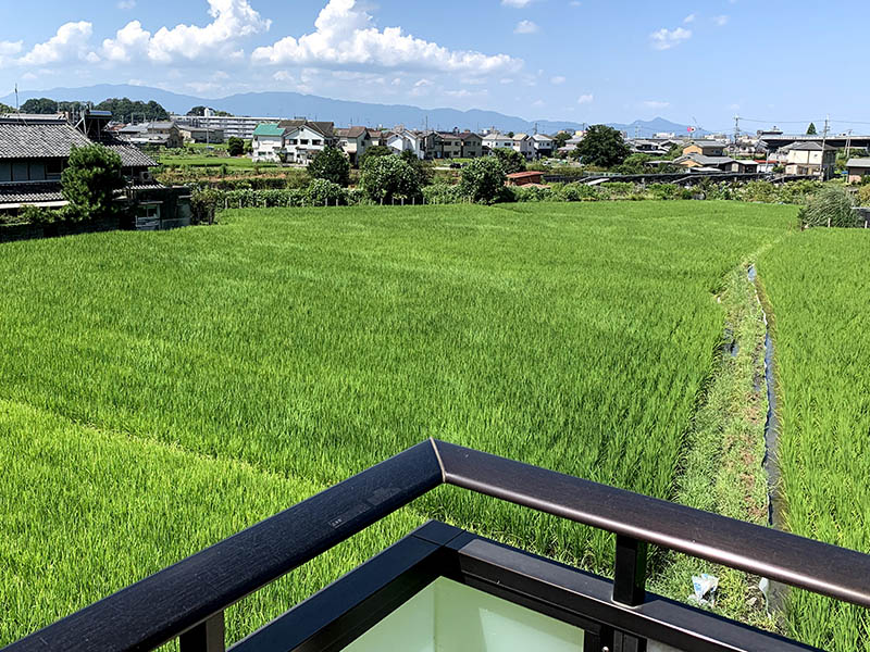 じゃばらで花粉症が改善 試した結果や商品を紹介します One Little Voice