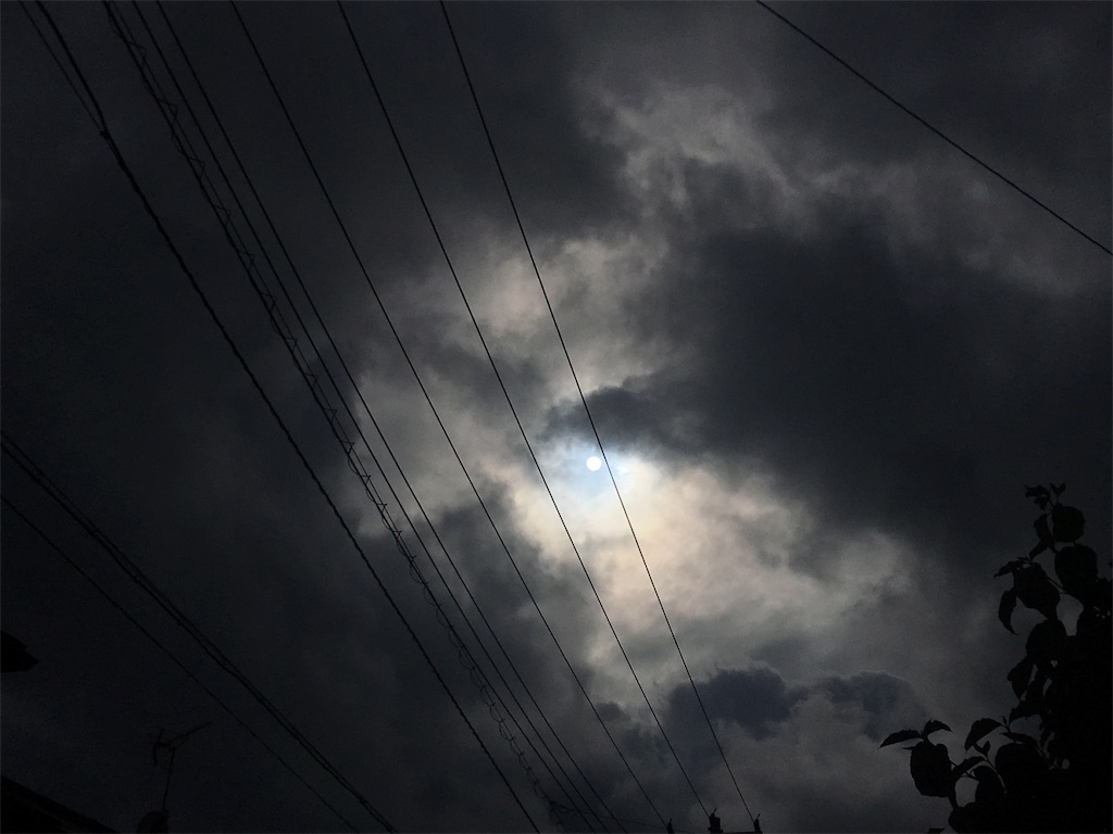 f:id:twinklehappy:20190624223831j:image f:id:twinklehappy:20190624223831j:image
