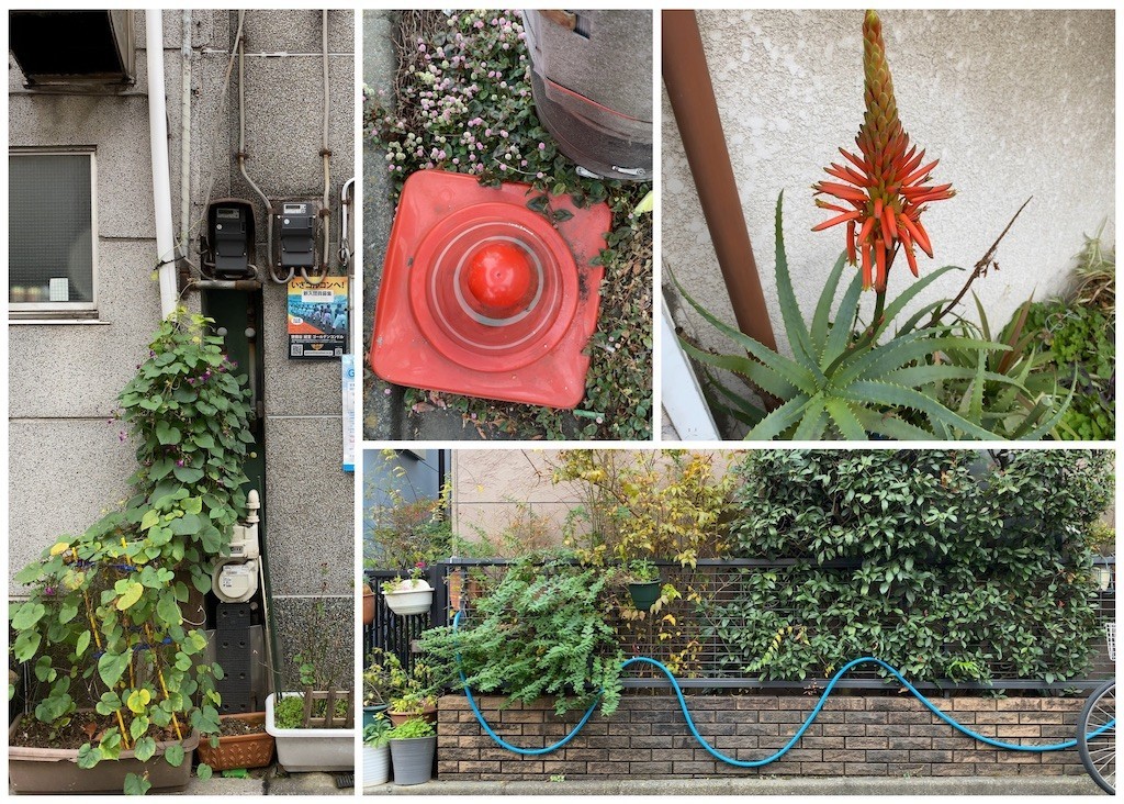 f:id:twinleaves:20201213211534j:image