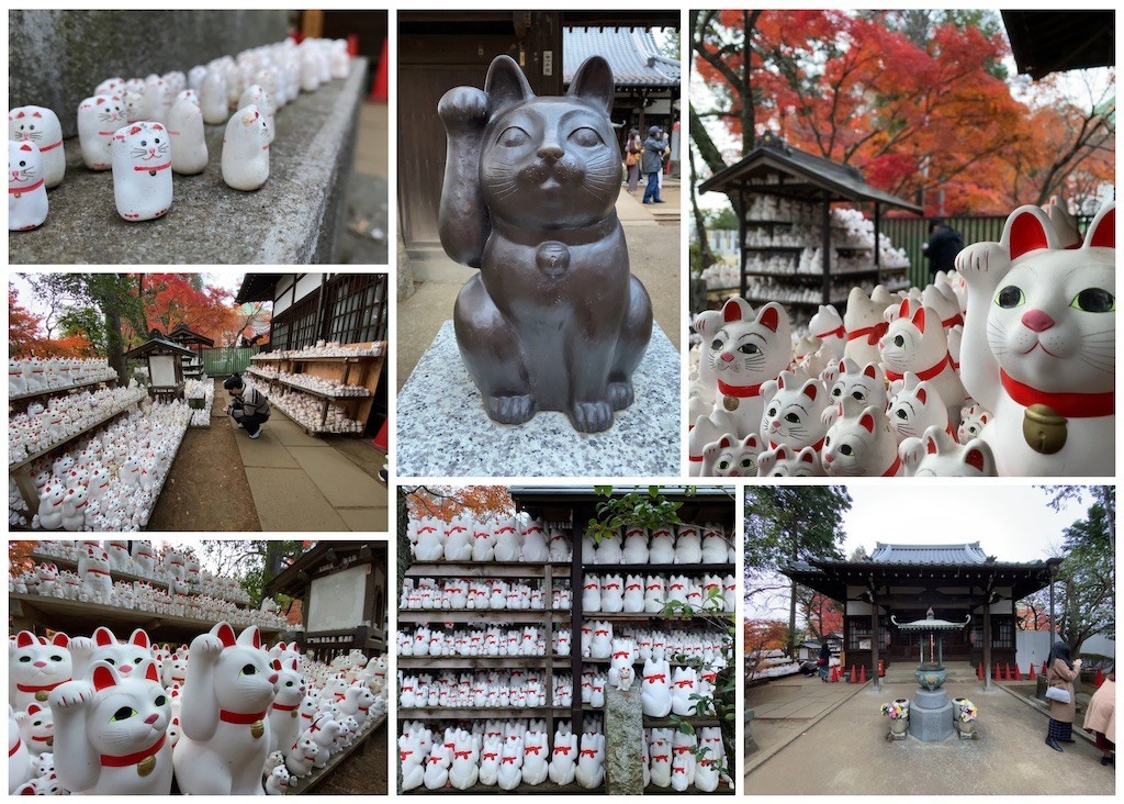 f:id:twinleaves:20201213211541j:image