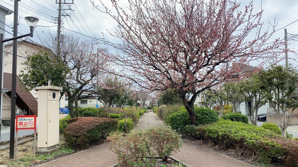 f:id:twinleaves:20210314182018j:plain