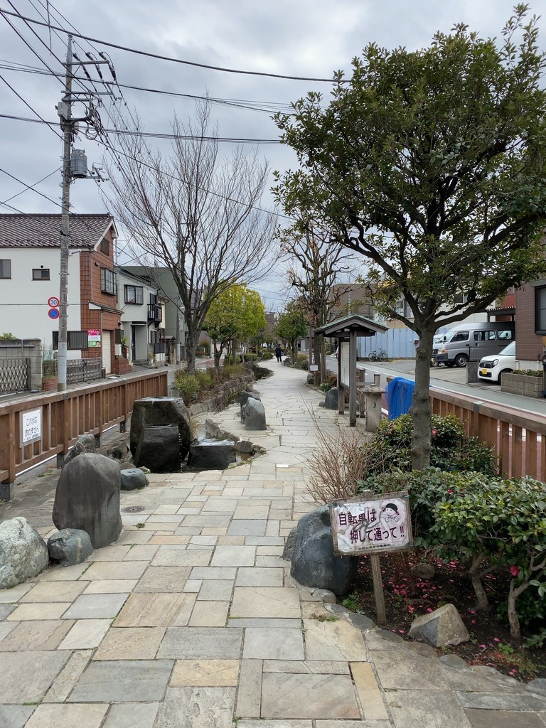 f:id:twinleaves:20210314183234j:plain