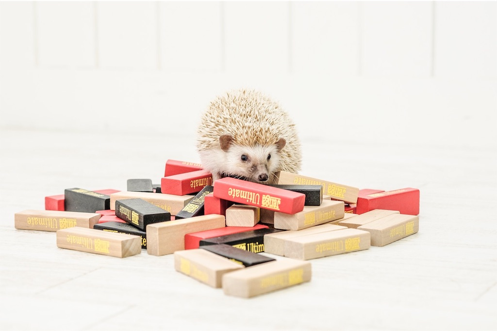 f:id:twinray_hanabi:20191207214633j:image f:id:twinray_hanabi:20191207214633j:image