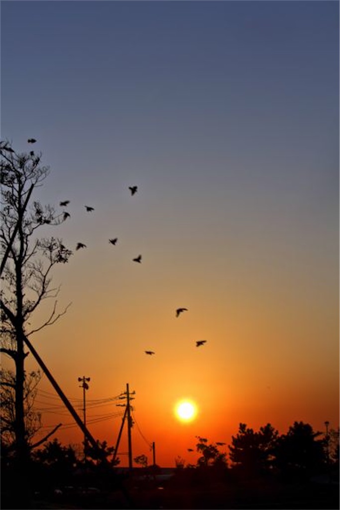 f:id:twinray_hanabi:20200120101422j:image