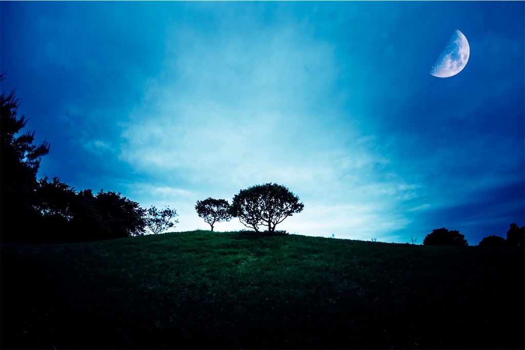 f:id:twinray_hanabi:20200626170621j:image f:id:twinray_hanabi:20200626170621j:image