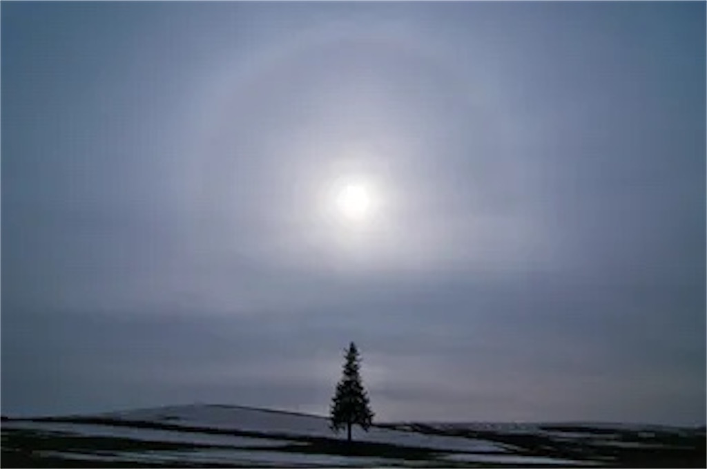 f:id:twinray_hanabi:20201207162807j:image