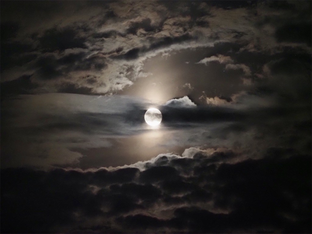 f:id:twinray_hanabi:20210921112531j:image f:id:twinray_hanabi:20210921112531j:image