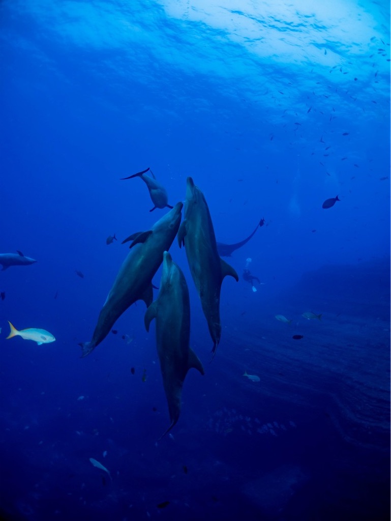 f:id:twinray_hanabi:20220301145839j:image f:id:twinray_hanabi:20220301145839j:image