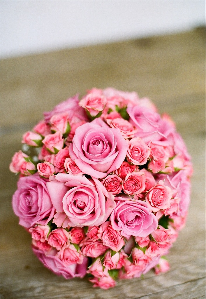 f:id:twinray_hanabi:20230221120549j:image