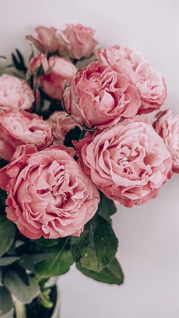 f:id:twinray_hanabi:20230903100258j:image f:id:twinray_hanabi:20230903100258j:image