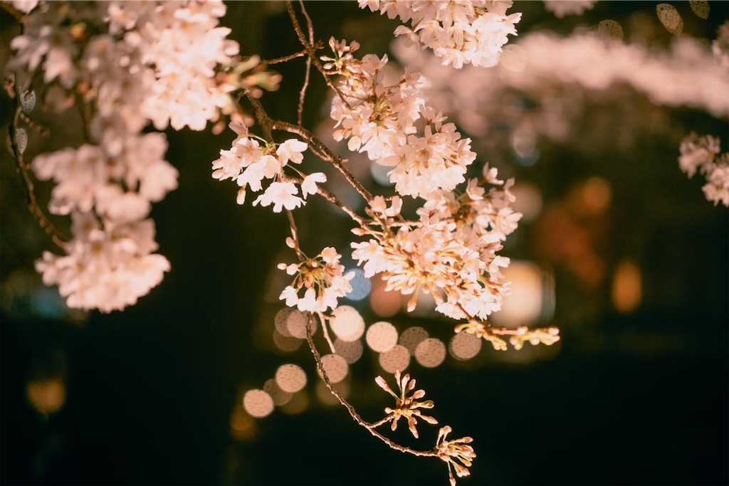 f:id:twinray_hanabi:20250412215246j:image