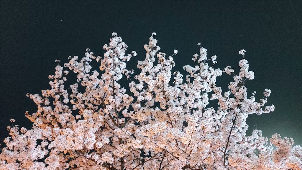 f:id:twinray_hanabi:20250413123300j:image