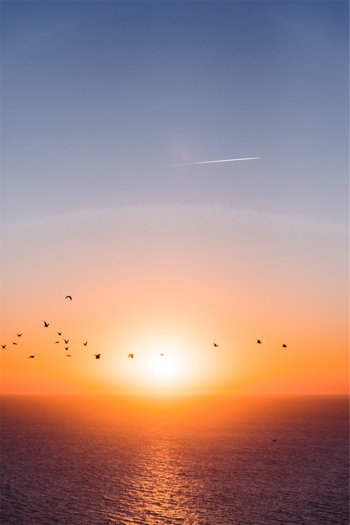 f:id:twinray_hanabi:20250513102800j:image