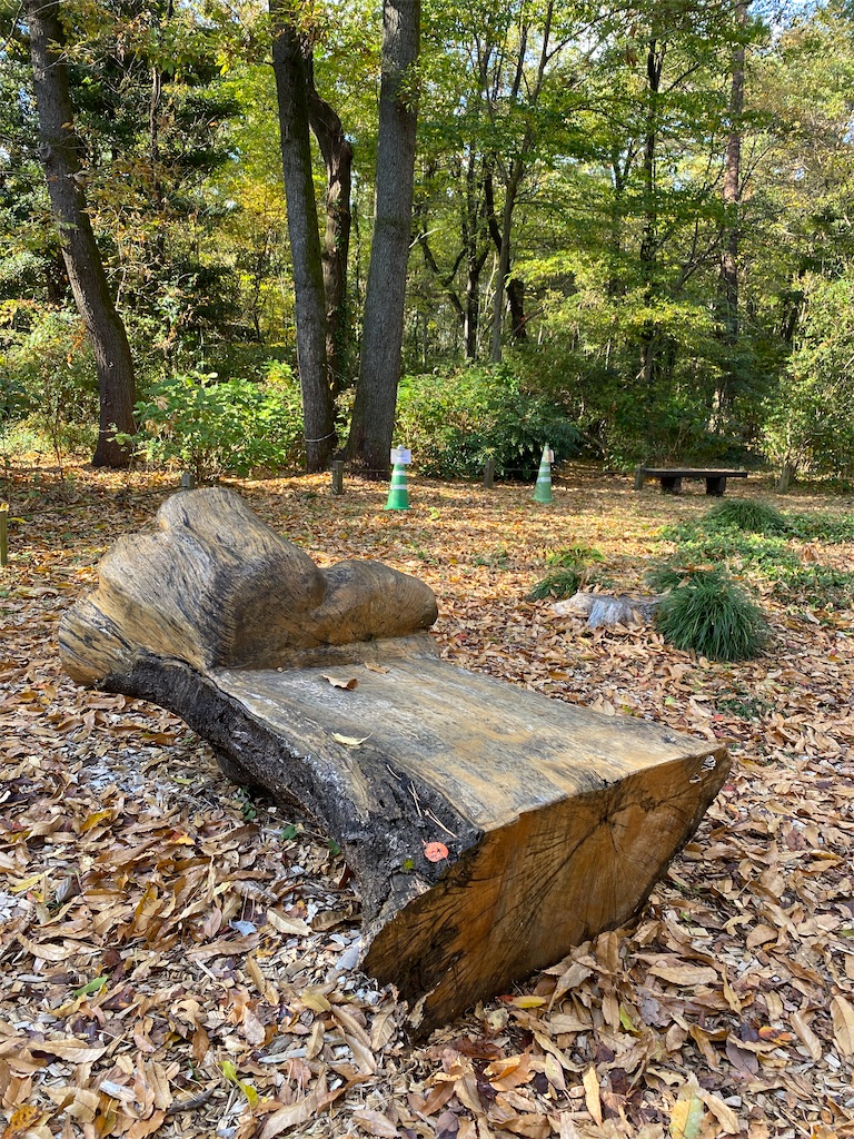四季の自然とアートを楽しむ「昭島・昭和の森・武藤順九彫刻園