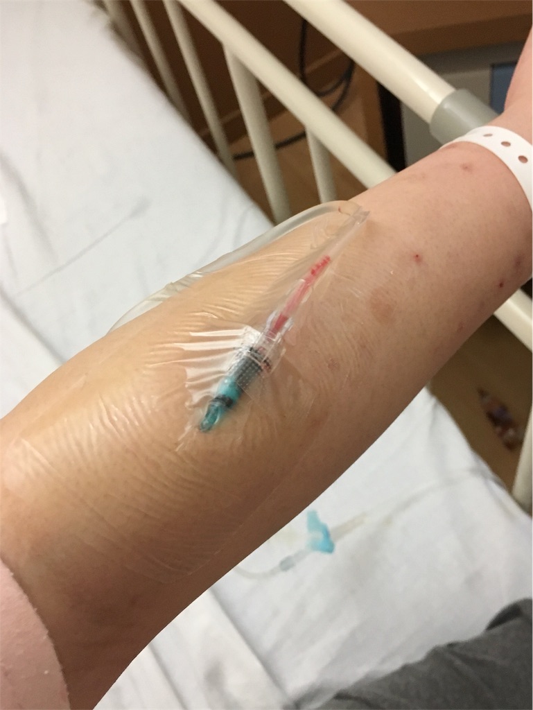 双子とほっぺの三姉妹日記