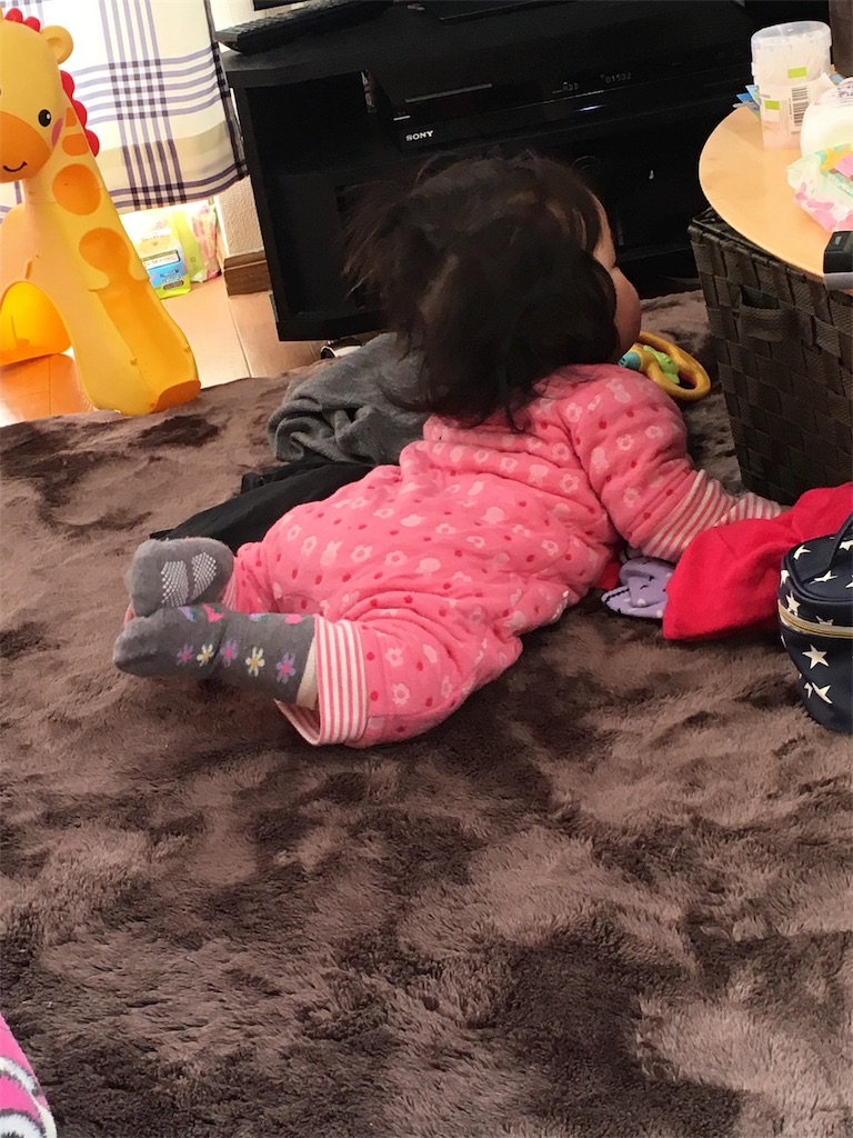 f:id:twinssis:20180120134656j:image f:id:twinssis:20180120134656j:image