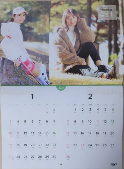f:id:twintraemon:20210115114731j:plain
