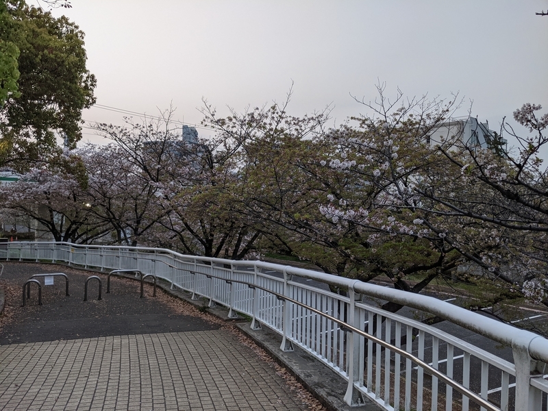 f:id:twintraemon:20210402145453j:plain