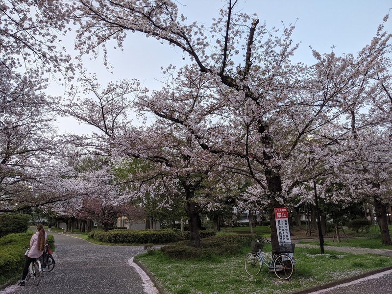 f:id:twintraemon:20210402145504j:plain