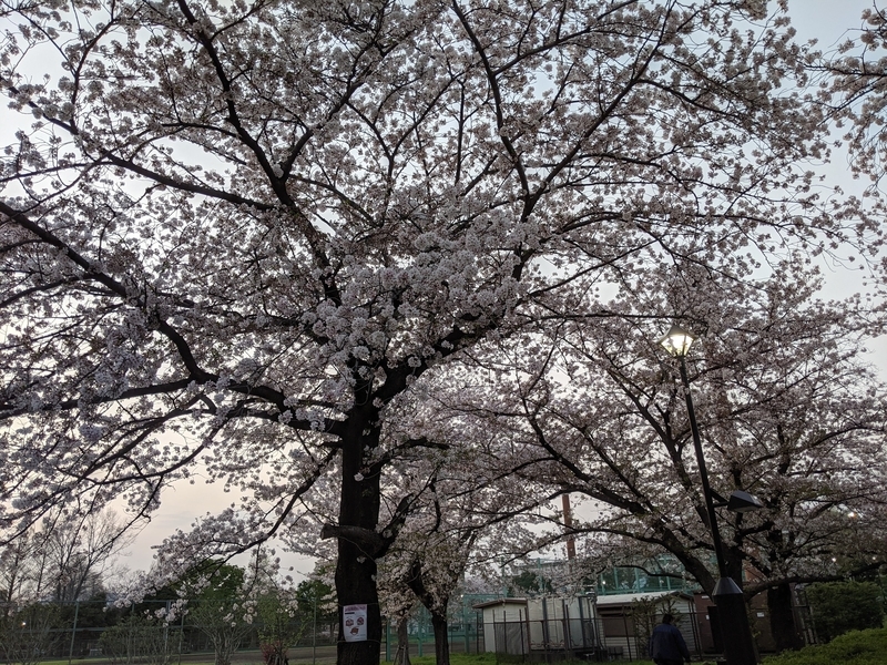 f:id:twintraemon:20210402145519j:plain