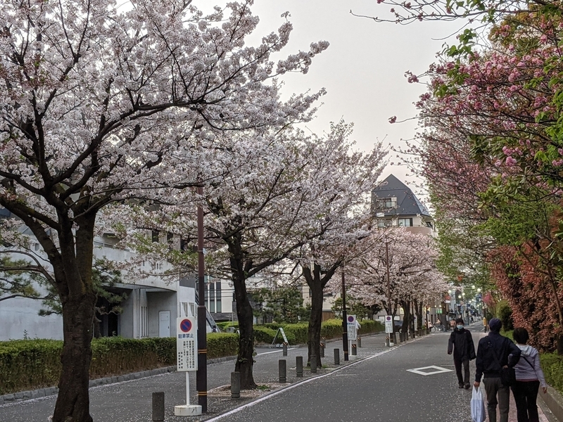 f:id:twintraemon:20210402145543j:plain