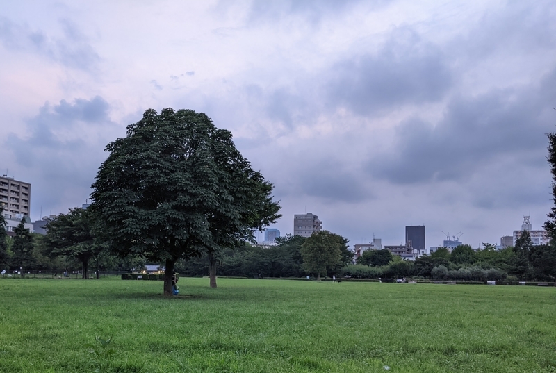 f:id:twintraemon:20210716065558j:plain