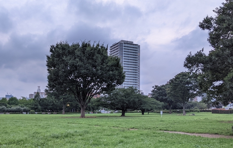 f:id:twintraemon:20210716065606j:plain