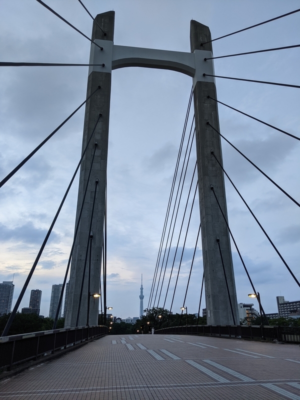 f:id:twintraemon:20210716065614j:plain