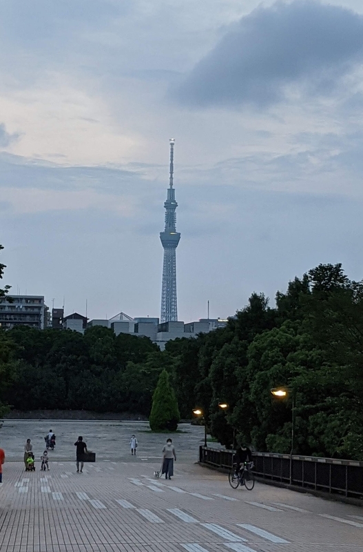 f:id:twintraemon:20210716065626j:plain