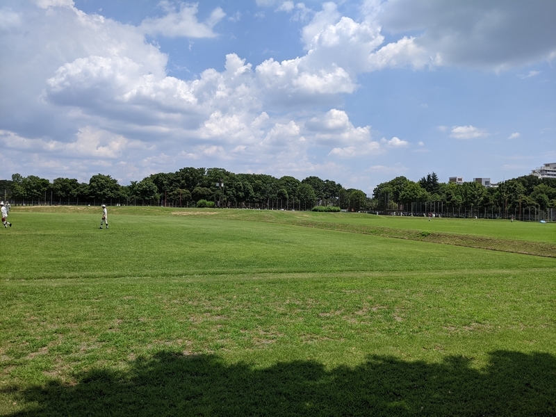 f:id:twintraemon:20210725111511j:plain