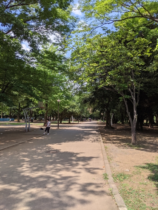 f:id:twintraemon:20210725112013j:plain