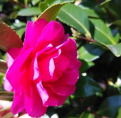 f:id:twistinhaurin:20200406170257j:plain