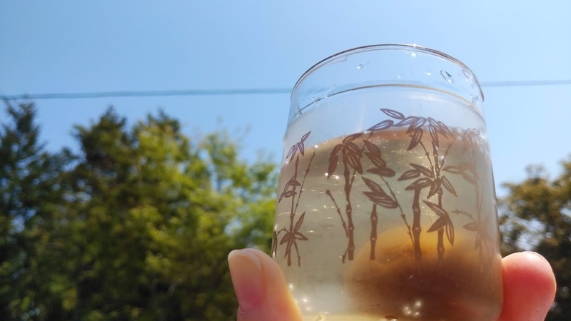 f:id:twistinhaurin:20200501143130j:plain