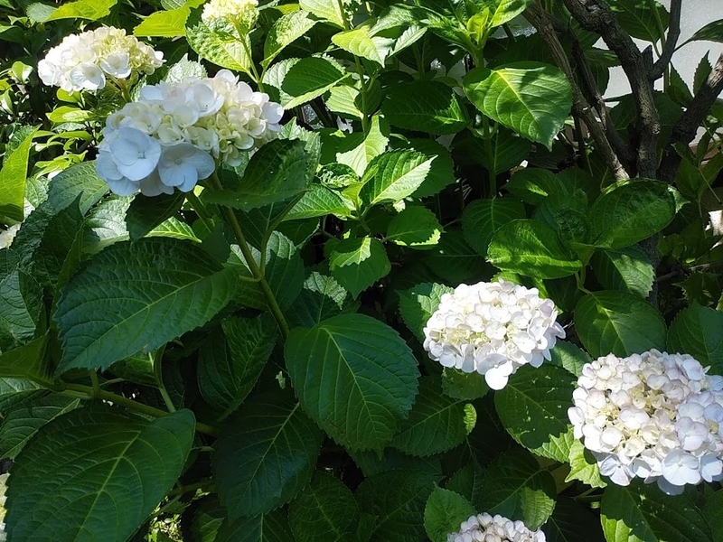 f:id:twistinhaurin:20200613174403j:plain