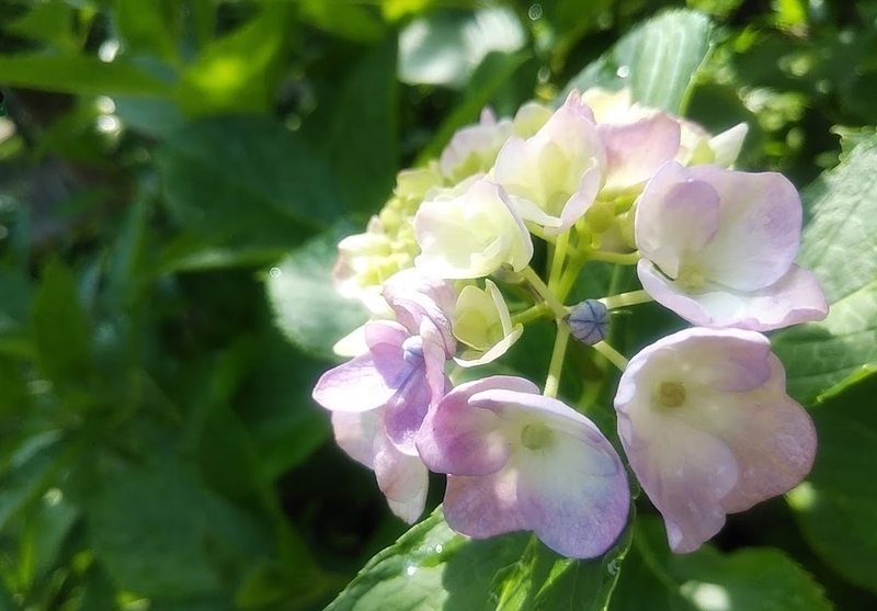 f:id:twistinhaurin:20200617152131j:plain