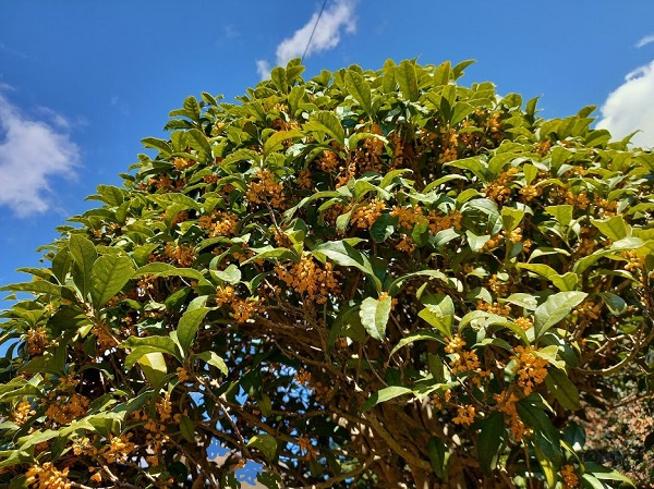 f:id:twistinhaurin:20201024140201j:plain