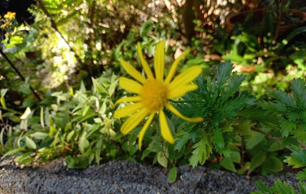 f:id:twistinhaurin:20201024140437j:plain