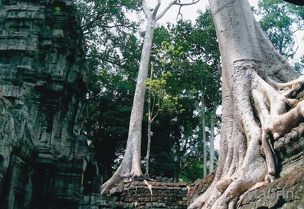 f:id:twistinhaurin:20210304155252j:plain