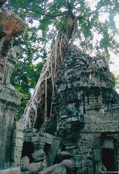 f:id:twistinhaurin:20210304155257j:plain