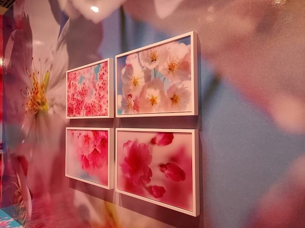 f:id:twistinhaurin:20210321164407j:plain