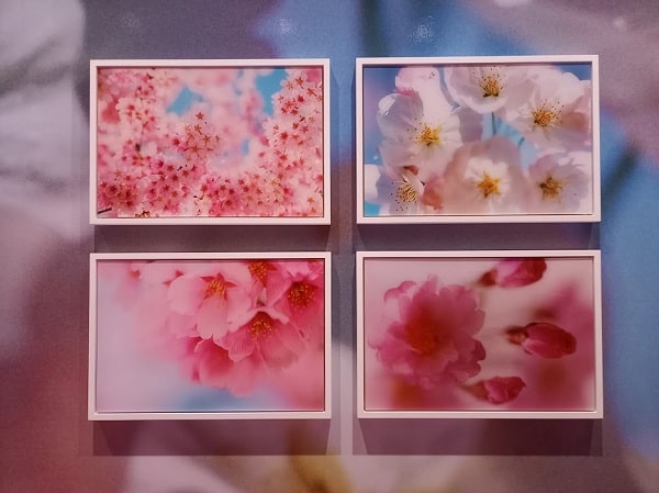 f:id:twistinhaurin:20210321164411j:plain