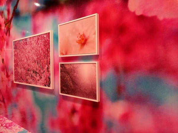 f:id:twistinhaurin:20210321164414j:plain