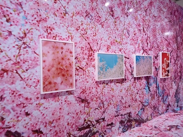 f:id:twistinhaurin:20210321164418j:plain