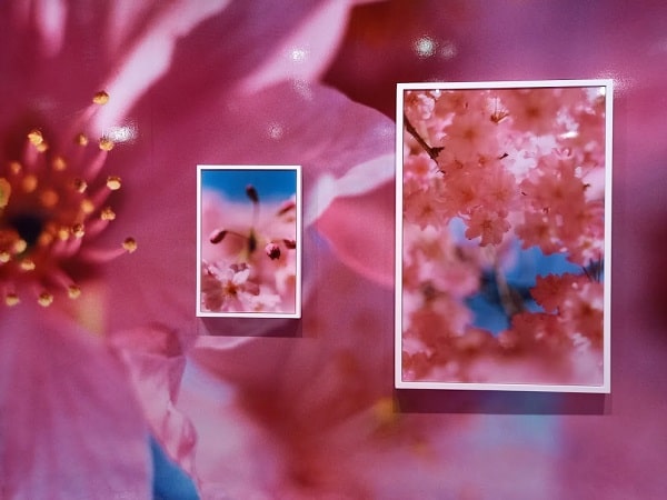 f:id:twistinhaurin:20210321164422j:plain