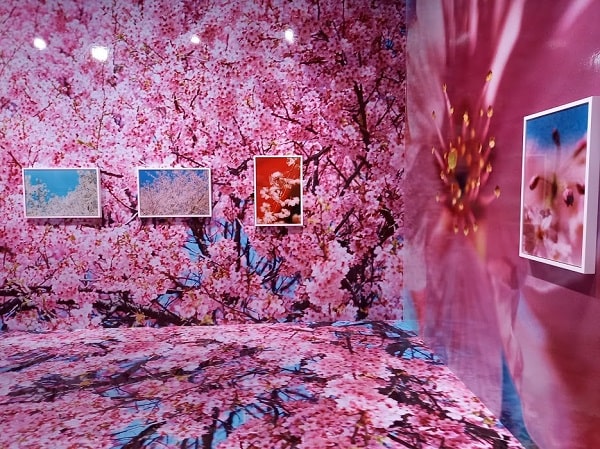 f:id:twistinhaurin:20210321164426j:plain