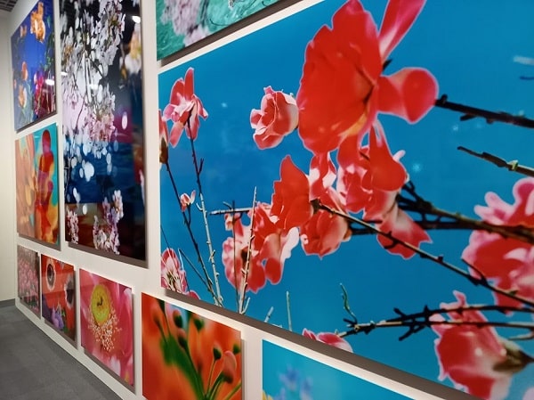 f:id:twistinhaurin:20210321164430j:plain