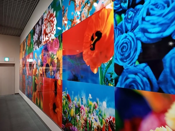 f:id:twistinhaurin:20210321164625j:plain