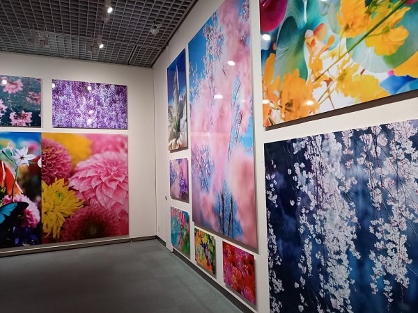 f:id:twistinhaurin:20210321164633j:plain