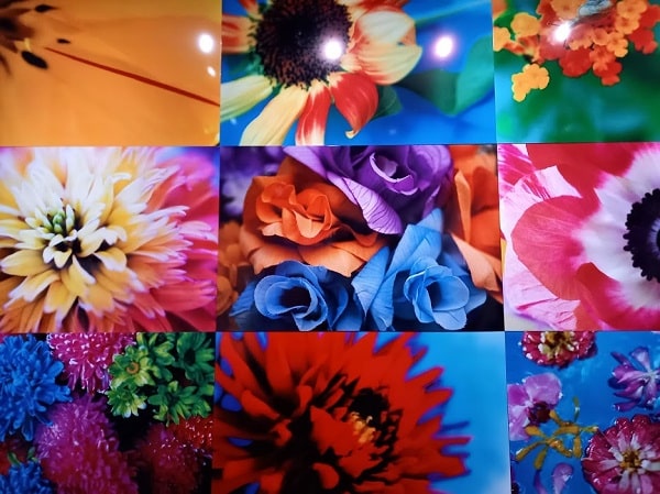 f:id:twistinhaurin:20210321164637j:plain